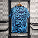 Camisa Dinamarca 23/24 - Training Edition