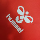 Camisa Dinamarca 23/24 - Home Edition