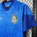 Camisa Palmeiras 24/25 - Goalkeeper Edition