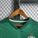 Camisa Palmeiras 20/21 - Home Edition