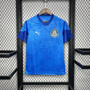 Camisa Palmeiras 24/25 - Goalkeeper Edition
