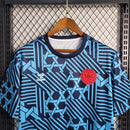 Camisa Dinamarca 23/24 - Training Edition