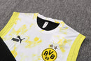 Kit Treino Borussia Dortmund - Three Colors Edition